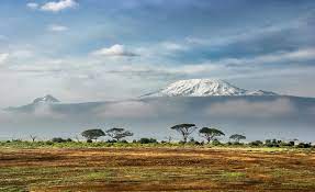 Meyer's Kilimanjaro Odyssey - Triumphant Strategy!