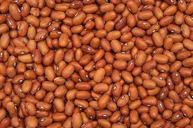 The Nutritional Appeal of Beans