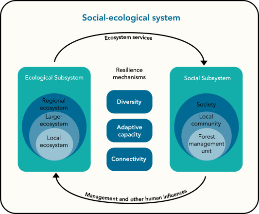Balancing Act - Human Needs vs. Environmental Conservation in the Biocentric Paradigm!